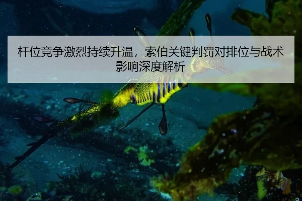 杆位竞争激烈持续升温，索伯关键判罚对排位与战术影响深度解析